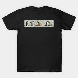 "Feed Me Mum" - Emperor Penguins, Antarctica T-Shirt